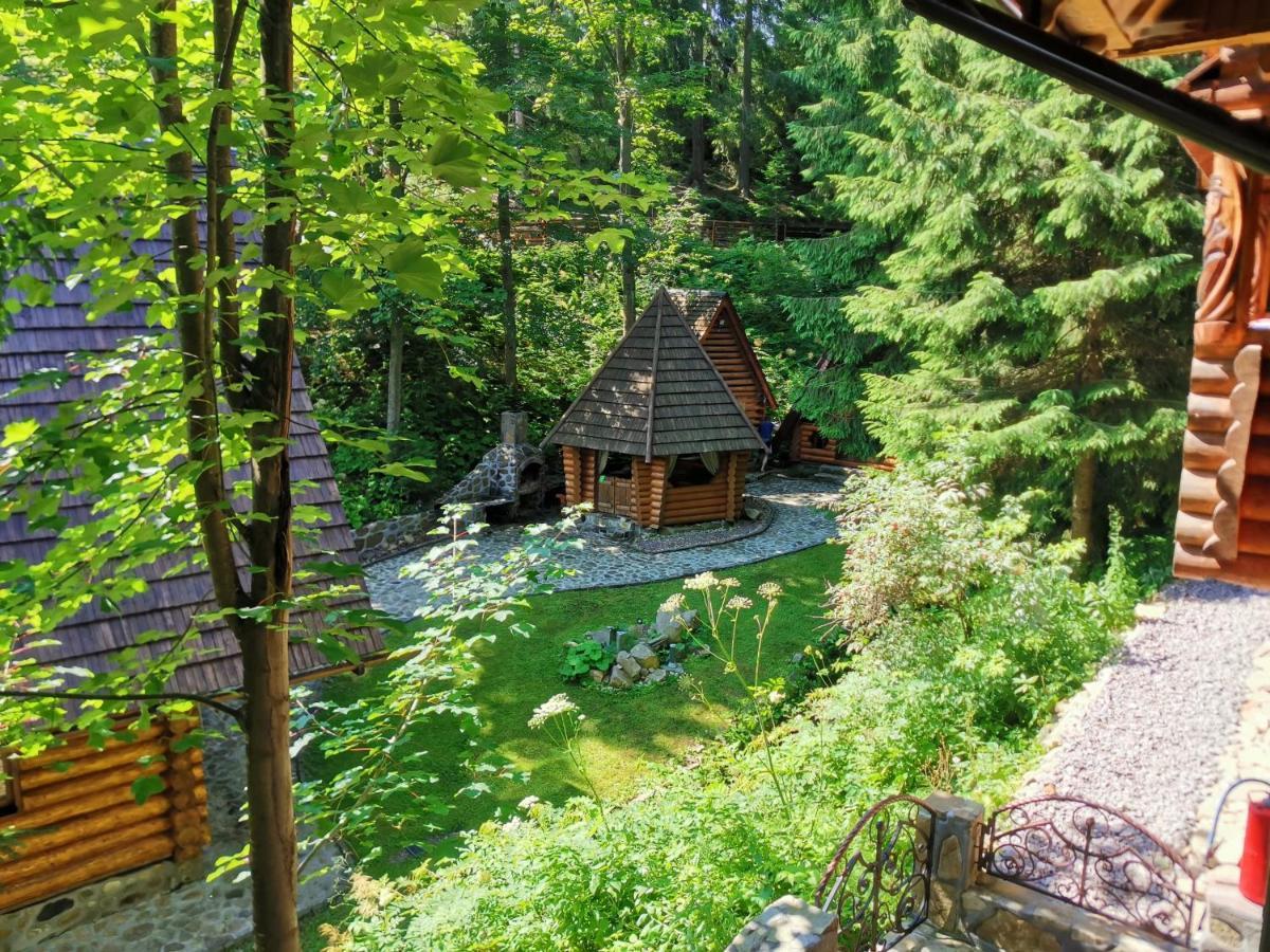 Гірська Хата Hotel Senechiv Екстериор снимка